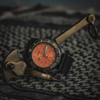 Olivier MULHAUPT - IMPACT PHOTOGRAPHIE ANJOU